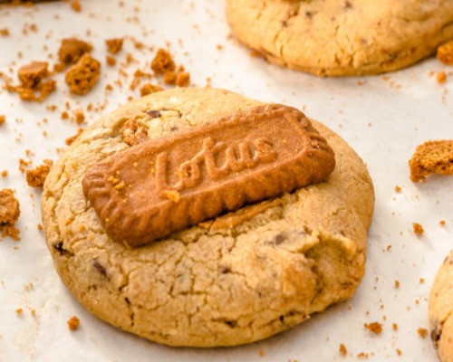 biscoff cookie