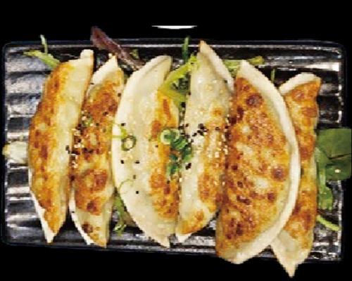 PAN-FRIED DUMPLINGS