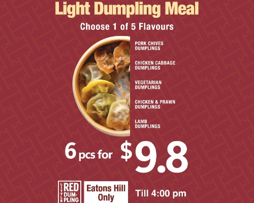 Light Dumpling Meal- 6pcs