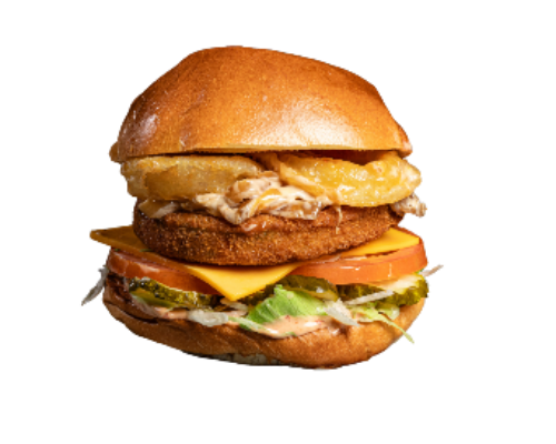 Vegetarian Brother Burger