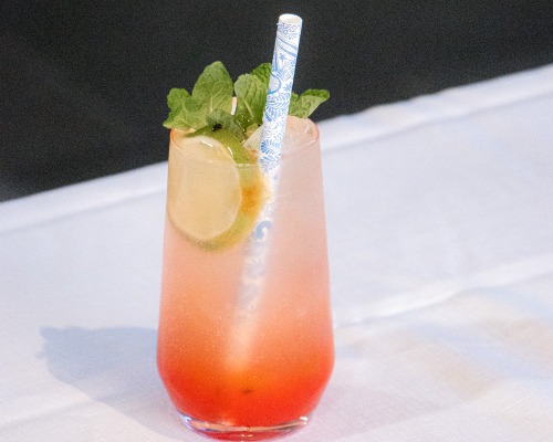 Watermelon Cooler