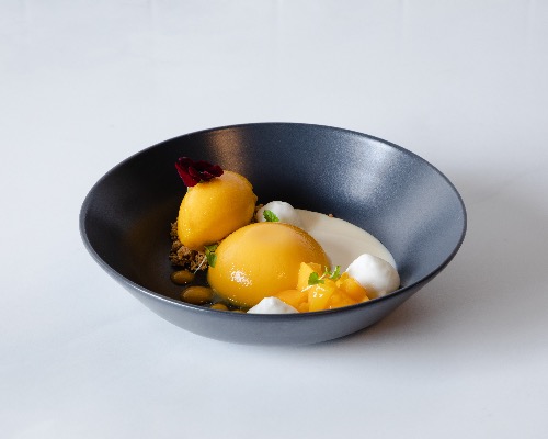Mango Pudding
