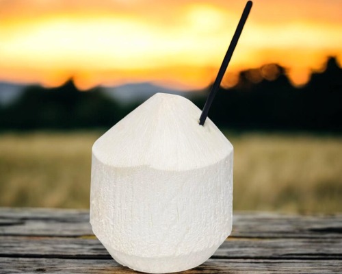 Dừa Tươi — Coconut Juice