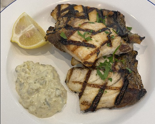 Barramundi