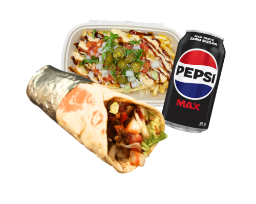 KEBAB & CHEESE FRIES COMBO