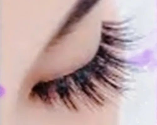 Hybrid Half Set （半套）